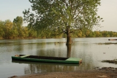 Bodrog - tavaszi áradáskor
