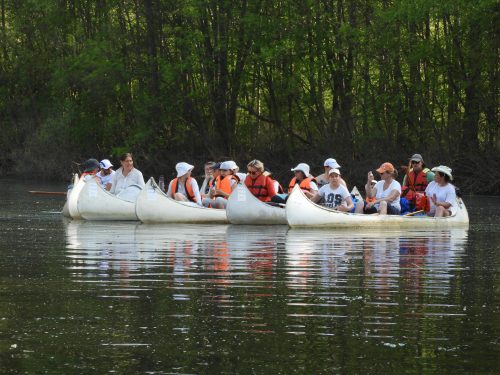 Bodrog túra jegy felnőtt ÉTKEZÉSSEL
